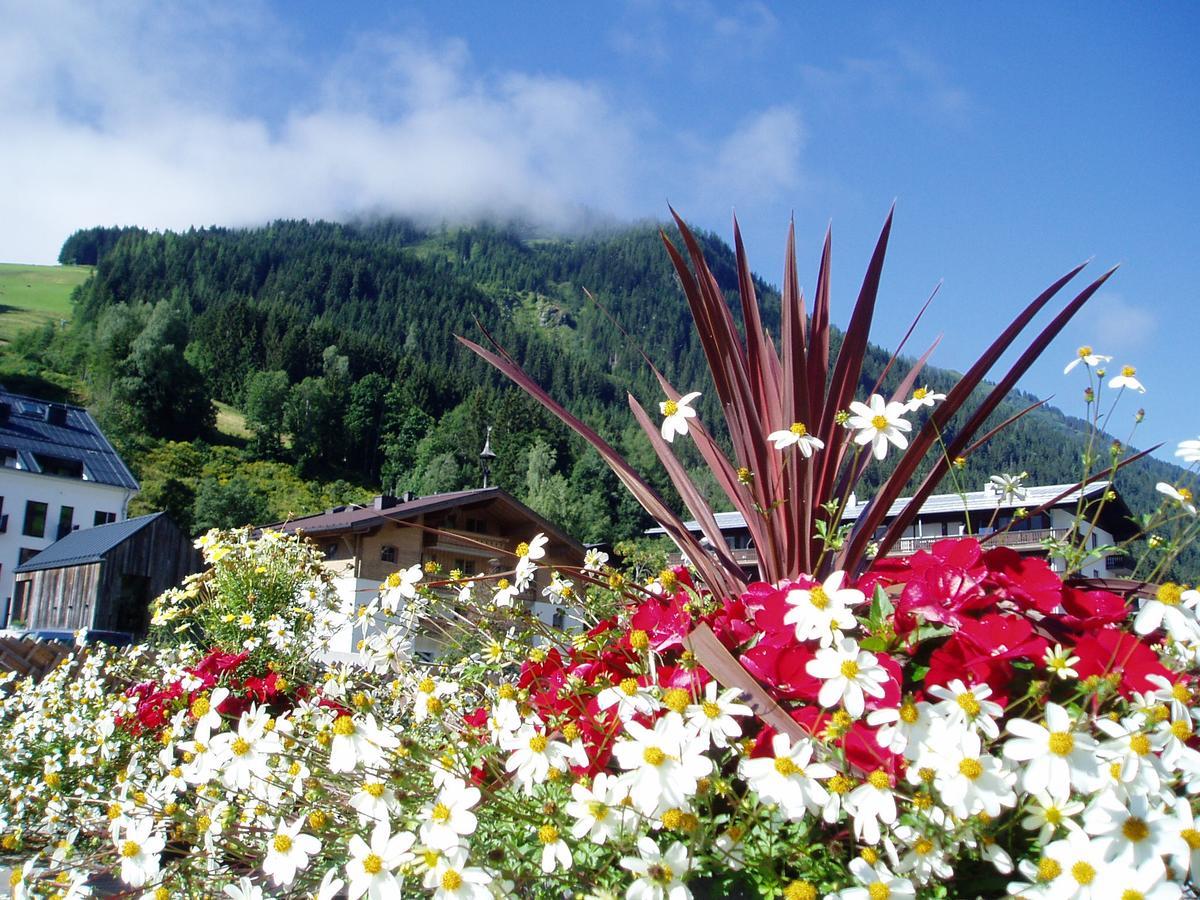 Am Zwoelferkogel Appartements Saalbach-Hinterglemm Eksteriør billede