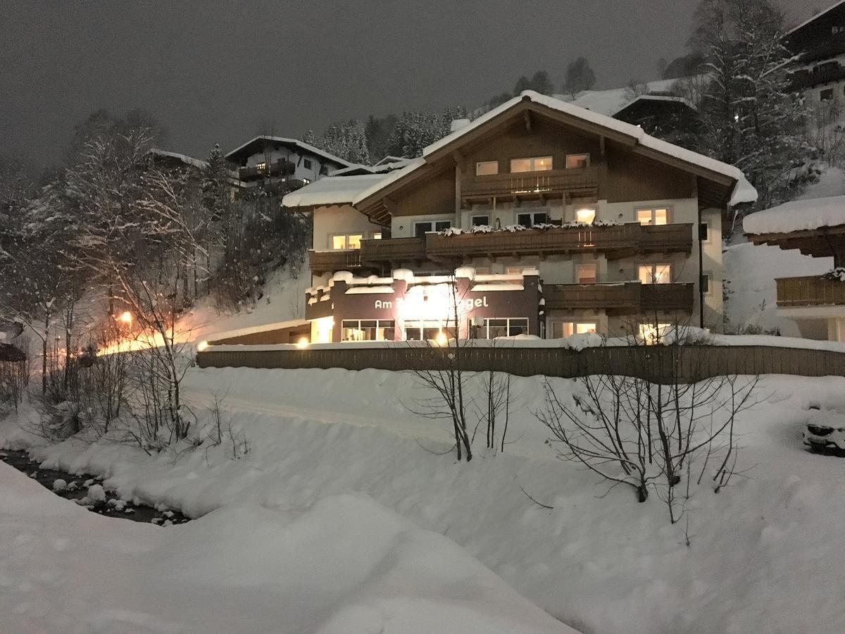 Am Zwoelferkogel Appartements Saalbach-Hinterglemm Eksteriør billede