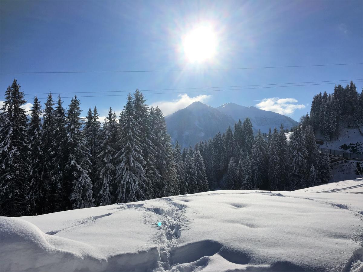 Am Zwoelferkogel Appartements Saalbach-Hinterglemm Eksteriør billede