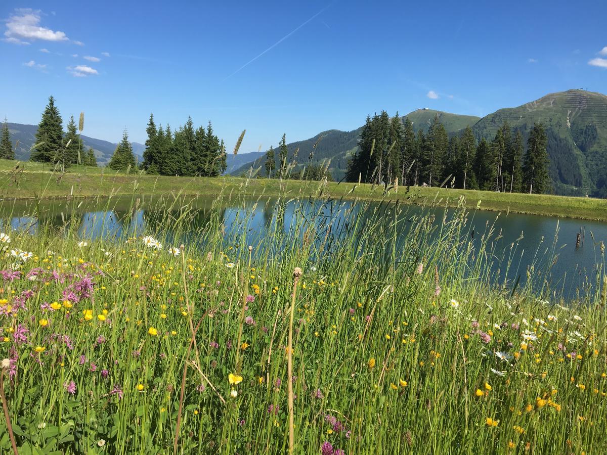 Am Zwoelferkogel Appartements Saalbach-Hinterglemm Eksteriør billede