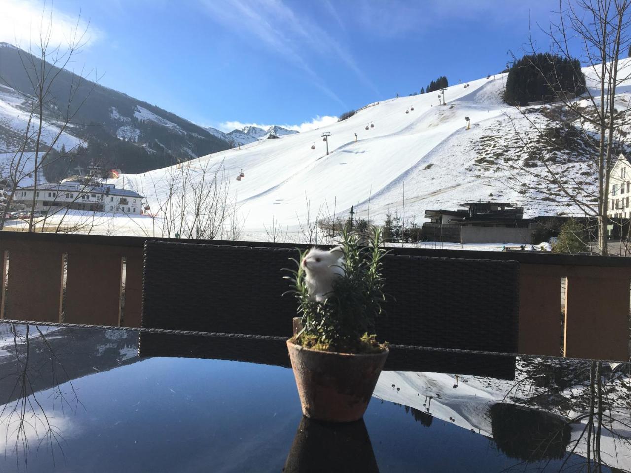 Am Zwoelferkogel Appartements Saalbach-Hinterglemm Eksteriør billede