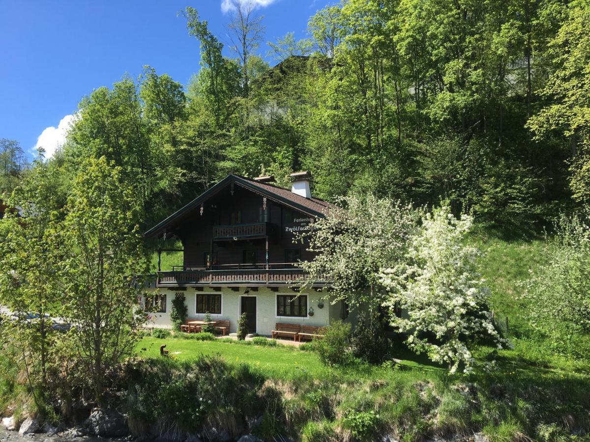 Am Zwoelferkogel Appartements Saalbach-Hinterglemm Eksteriør billede
